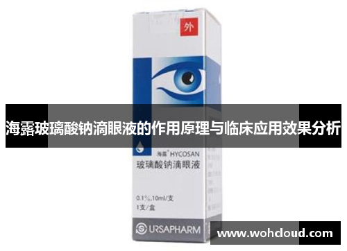 海露玻璃酸钠滴眼液的作用原理与临床应用效果分析